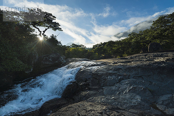 Blick auf einen kleinen Wasserfall in der Morgendämmerung  Likhubula  Mount Mulanje; Malawi'.