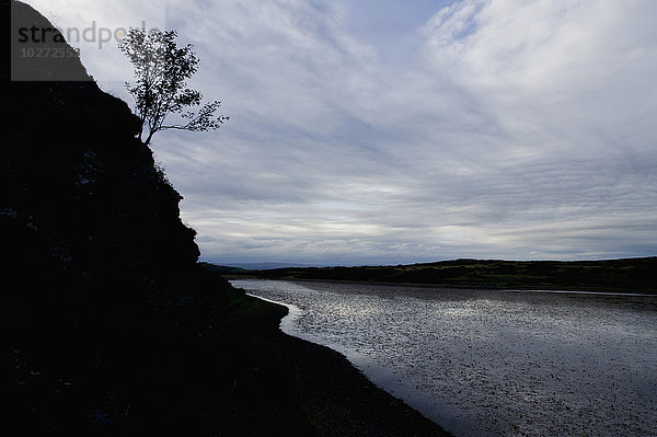 Silhouette eines Baumes  der sich an einer steilen Klippe entlang eines Sees festhält; Powys  Wales'.