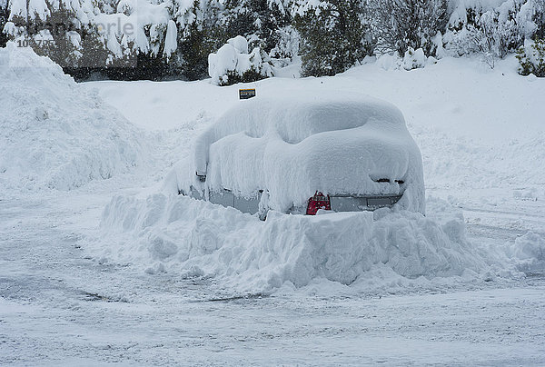 Fahrzeuge bedeckt mit frischem  tiefem Schnee  Mt. Cook  Neuseeland