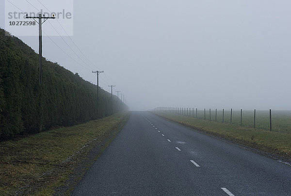 Blick auf die Waimarama Road an einem nebligen  bedeckten Tag  Methven  Neuseeland