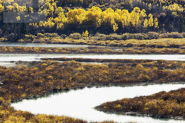 S-gekrümmter Fluss im Delta mit Herbstfarben; Calgary  Alberta  Caanda'.
