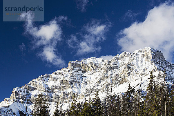 Schneebedeckter Berggipfel mit immergrünen Bäumen und blauem Himmel und Wolken; Banff  Alberta  Kanada'.