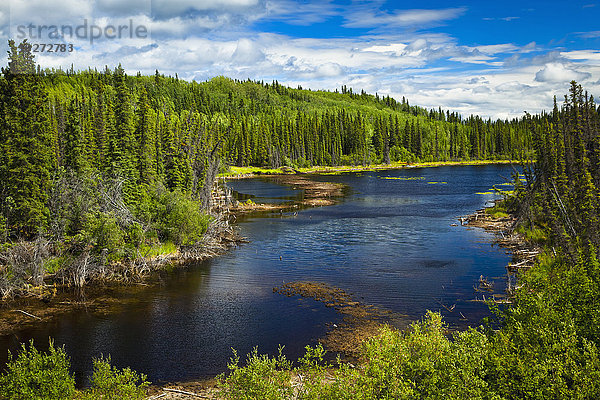 Copper River Valley; Alaska  Vereinigte Staaten von Amerika'.