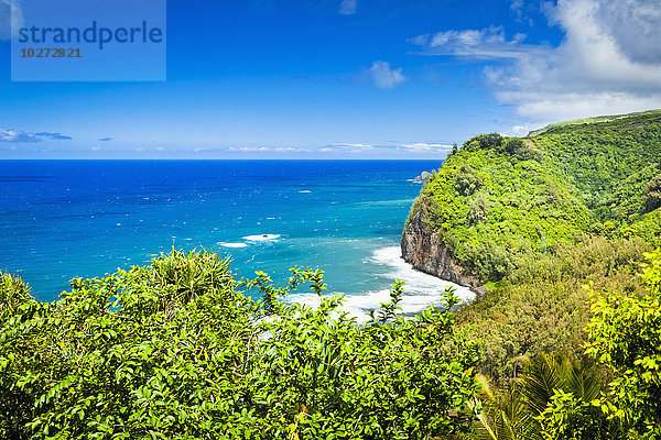 Pololu Valley Lookout  ein malerischer Ort mit Blick auf das üppige Tal und die umliegenden Meeresklippen; Insel Hawaii  Hawaii  Vereinigte Staaten von Amerika'.