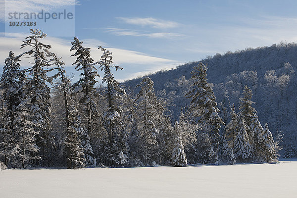 Schneebedeckter Hügel und Nadelbäume unter blauem Himmel  Baker Pond; West Bolton  Quebec  Kanada'.