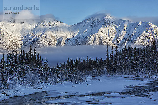 Grauer Bergrücken über dem Wheaton River in der Nähe von Whitehorse; Yukon  Kanada'.