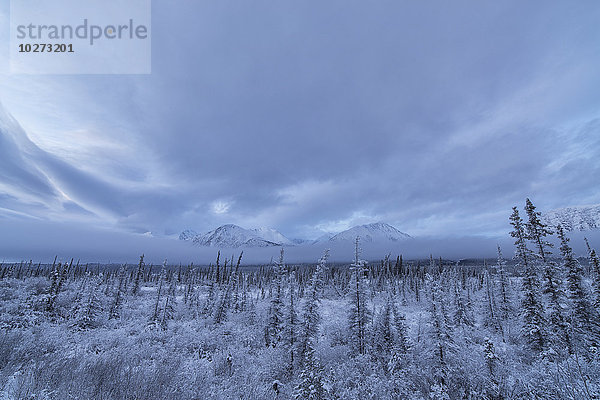 Wolken und Nebel umhüllen die Berge entlang der Annie Lake Road  in der Nähe von Whitehorse; Yukon  Kanada'.