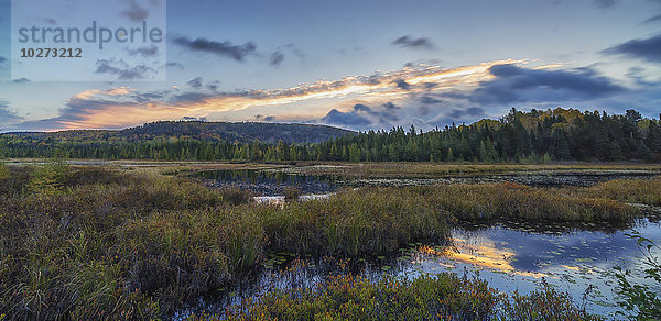 Sonnenaufgang färbt den Herbsthimmel über dem Costello Creek im Algonquin Park; Ontario  Kanada'.