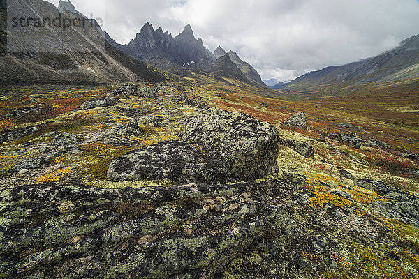 Das Tombstone-Tal in Herbstfarben mit dem Tombstone Mountain  der sich über die Tundra im Tombstone Territorial Park erhebt; Yukon  Kanada'.
