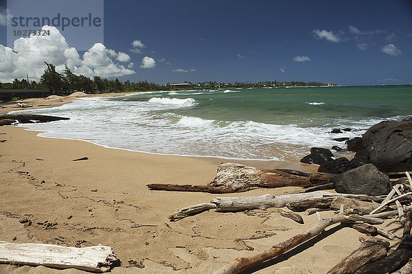 Treibholz  Sand und Brandung am Wailua Beach; Wailua  Kauai  Hawaii  Vereinigte Staaten von Amerika'.