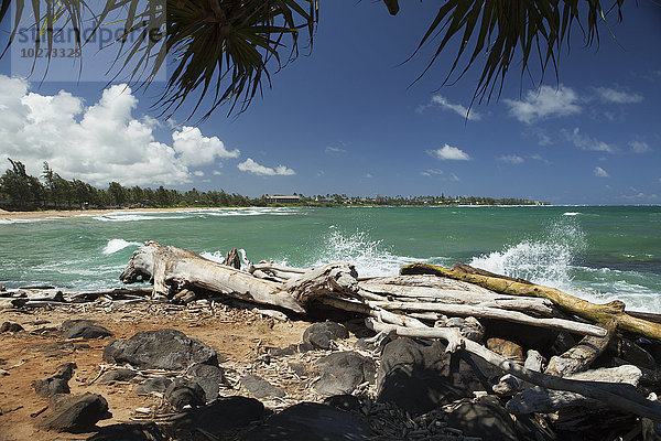 Treibholz  Sand und Brandung am Wailua Beach; Wailua  Kauai  Hawaii  Vereinigte Staaten von Amerika'.
