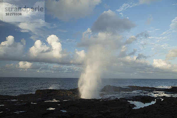 Spouting Horn bei Poipu  ein Blasloch  eine Lavaröhre  die sprudelt  wenn Wellen in die Röhre eindringen; Lawai  Kauai  Hawaii  Vereinigte Staaten von Amerika'