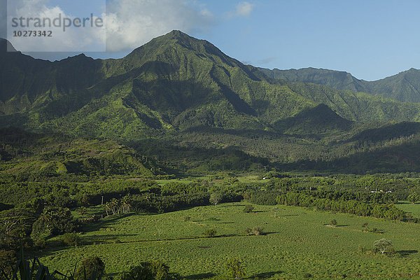 Hanalei-Tal und Talwände; Kauai  Hawaii  Vereinigte Staaten von Amerika'.