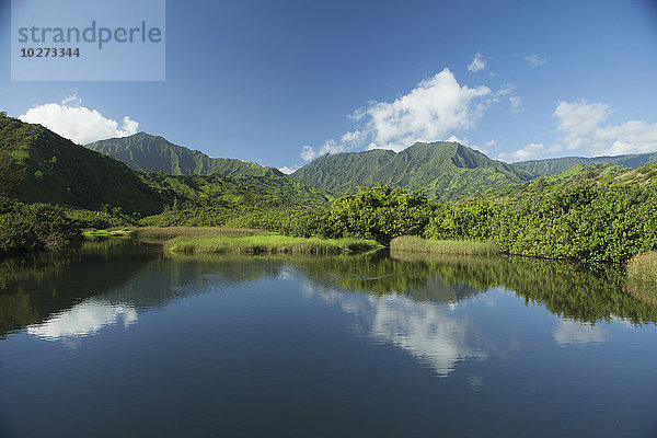 Reflektionen im ruhigen Lumahai-Fluss und -Tal  in der Nähe von Hanalei; Kauai  Hawaii  Vereinigte Staaten von Amerika'.