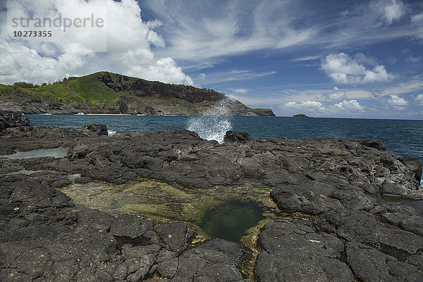 Gezeitentümpel am Makolea Point  Kilauea Point von Makolea aus; Kauai  Hawaii  Vereinigte Staaten von Amerika'.