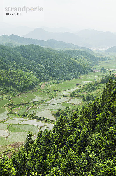 Landschaft mit Reisfeldern aus einem kleinen Dorf in der Nähe von Wuyuan; Provinz Jiangxi  China'.