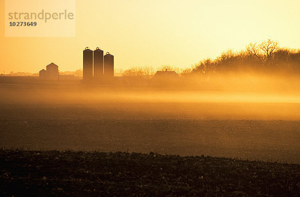 Dunstiges Sonnenaufgangslicht auf brachliegenden Maisfeldern und einem Gehöft mit Erntesilos  in der Nähe von Truman; Minnesota  Vereinigte Staaten von Amerika'.