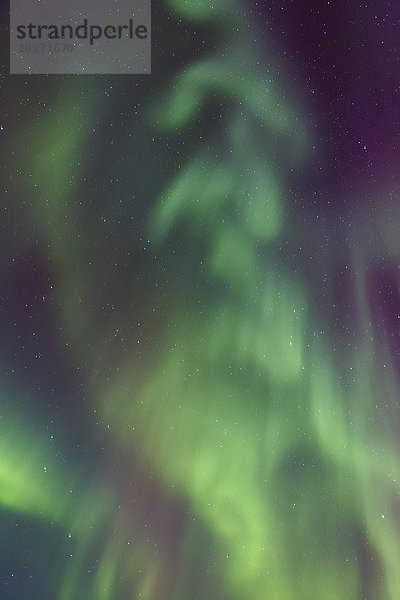 Nordlicht tanzt am klaren Himmel über Barrow  Arctic Alaska; Alaska  Vereinigte Staaten von Amerika'.