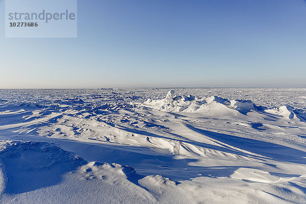 Schneeverwehungen  die den Meereisdruckrücken bei Point Barrow  arktisches Alaska  im Winter bedecken; Barrow  Alaska  Vereinigte Staaten von Amerika'.
