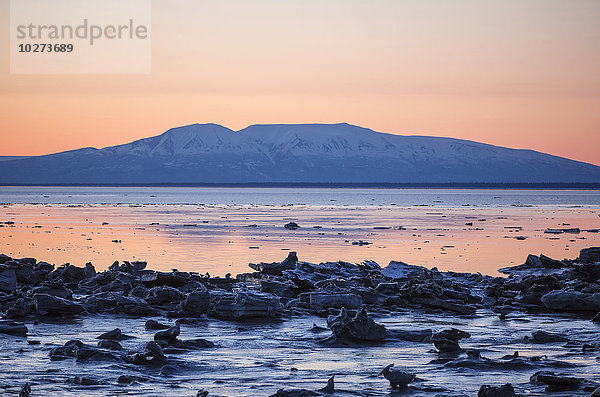 Sonnenuntergangslicht über dem vereisten Cook Inlet und dem schneebedeckten Mount Susita  mit Meereis im Vordergrund im Winter; Anchorage  Alaska  Vereinigte Staaten von Amerika