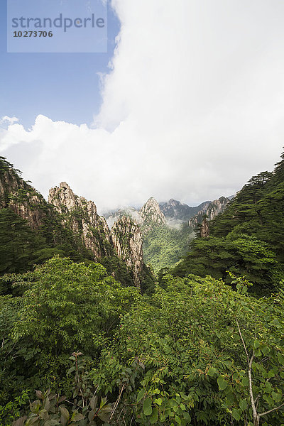 Granitgipfel mit Kiefern im Nordsee-Aussichtsgebiet  Berg Huangshan  Anhui  China