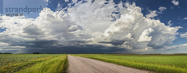 Sturmwolken über der Prärie; Winnipeg  Manitoba  Kanada'.