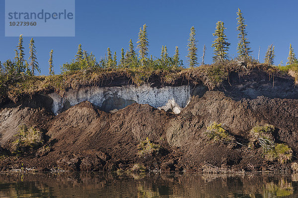 Permafrost taut auf und erodiert die Ufer des Noatak River; Noatak  Alaska  Vereinigte Staaten von Amerika'.