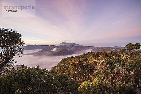 Tengger Caldera mit dem dampfenden Mount Bromo  Mount Batok und Mount Semeru im Hintergrund  gesehen vom westlichen Aussichtspunkt in der Morgendämmerung  Bromo Tengger Semeru National Park  Ost-Java  Indonesien