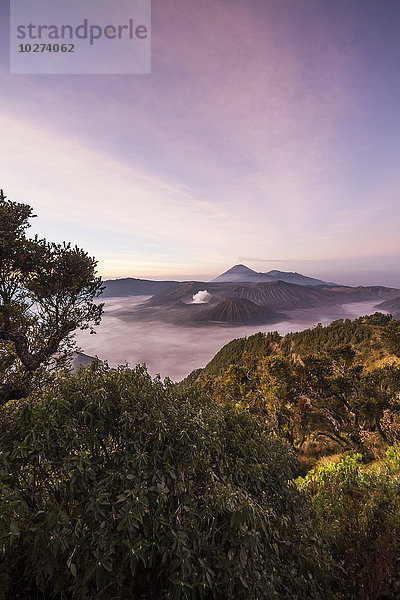 Tengger Caldera mit dem dampfenden Mount Bromo  Mount Batok und Mount Semeru im Hintergrund  gesehen vom westlichen Aussichtspunkt in der Morgendämmerung  Bromo Tengger Semeru National Park  Ost-Java  Indonesien