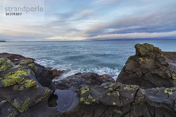 Das vulkanische Grundgestein bei Tow Hill  Haida Gwaii bei Sonnenaufgang  Naikoon Provincial Park; Masset  British Columbia  Kanada'.