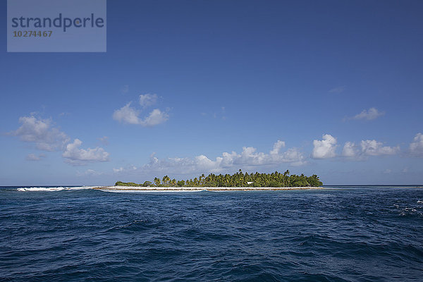 Kleine Insel mit Sand und Bäumen; Tahiti .