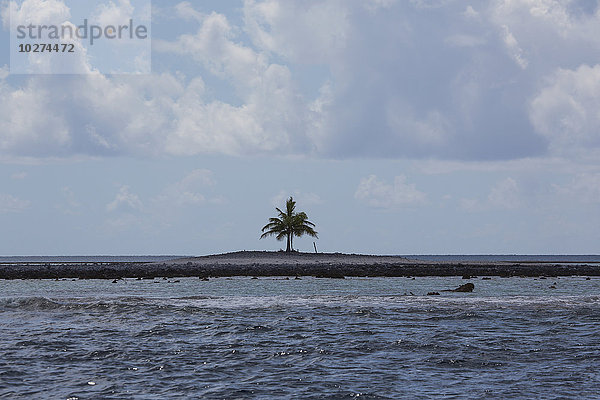 Insel mit Palme und pazifischem Ozean; Tahiti'.