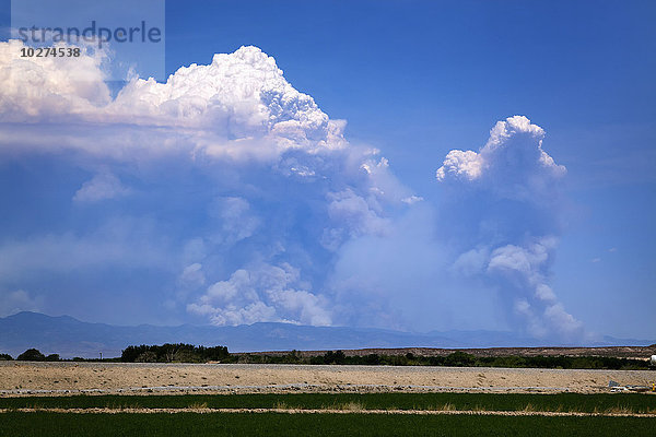 Rauch und Rauchfahnen  die von einem Waldbrand in den Bergen in den blauen Himmel aufsteigen; New Mexico  Vereinigte Staaten von Amerika'.