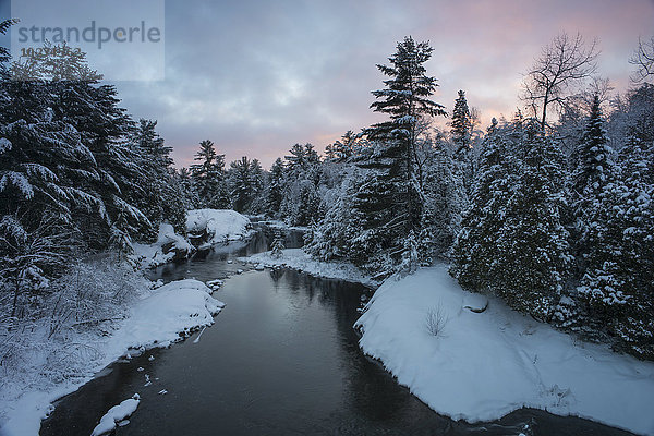 Fluss mit schneebedeckten Immergrünen bei Sonnenuntergang; Ontario  Kanada'.