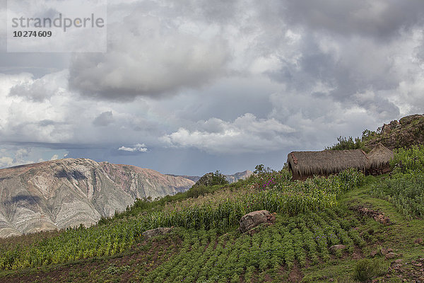 Gärten und kleine Strohhütten schmücken die Landschaft und die Berge um die Stadt Toro Toro; Toro Toro  Bolivien'.