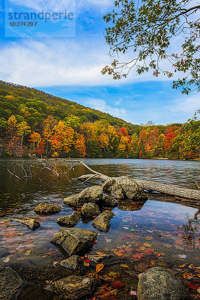 Herbstlaub am Hessian Lake  Bear Mountain State Park; Bear Mountain  New York  Vereinigte Staaten von Amerika'.