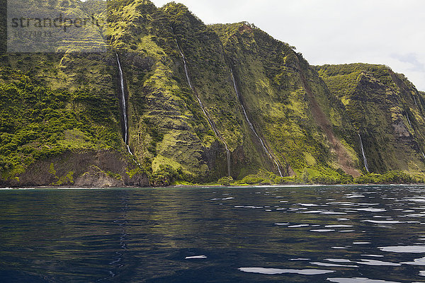 Wasserfall ins Meer  Hamakua-Küste; Insel Hawaii  Hawaii  Vereinigte Staaten von Amerika'.
