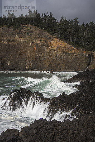 Zerklüftete Felsklippe am Cape Falcon und Wellen  die gegen die Felsen schlagen; Manzanita  Oregon  Vereinigte Staaten von Amerika'.