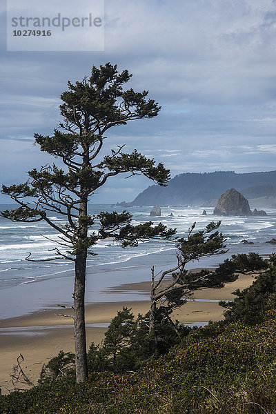 Haystack Rock und Tillamook Head  Wahrzeichen der Küste; Tolovana  Oregon  Vereinigte Staaten von Amerika'.
