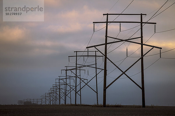 Stromleitungen bei bewölktem Himmel und Sonnenuntergang; Saskatchewan  Kanada'.