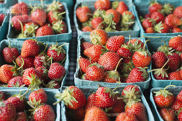 Kisten mit Erdbeeren