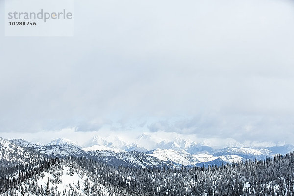 Landschaft mit Bergen und Wald im Winter