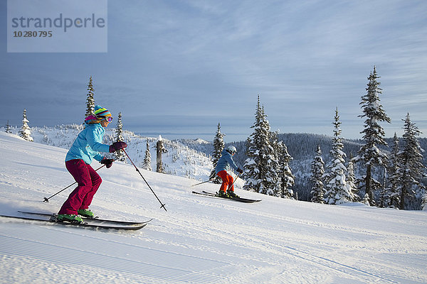 Seitenansicht eines Skifahrerpaares