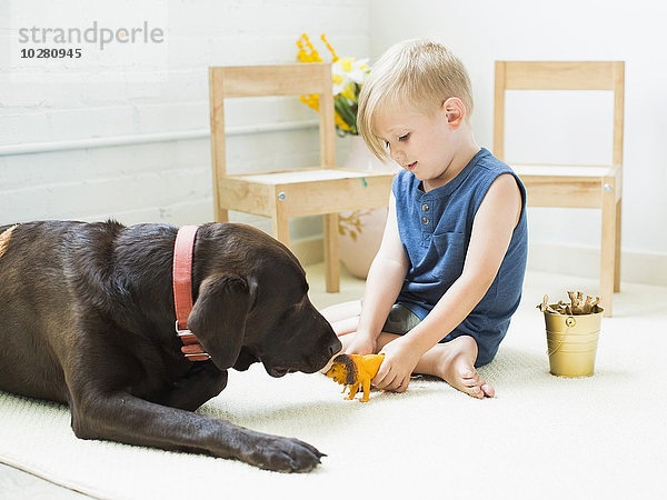 Kleiner Junge (2-3) spielt mit Hund