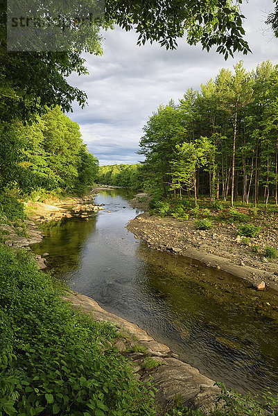 Blick auf den Williams River