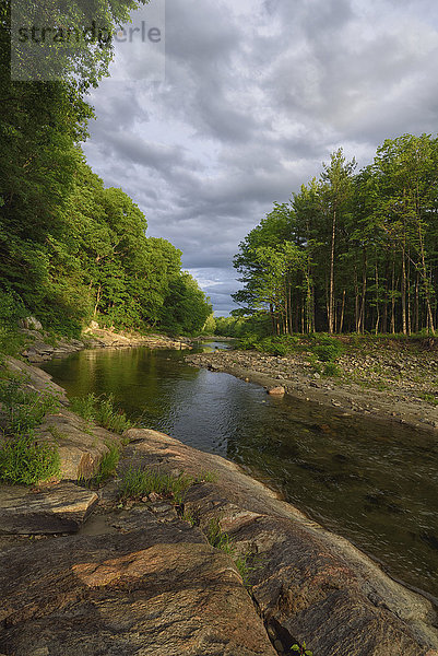 Blick auf den Williams River