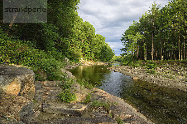 Blick auf den Williams River