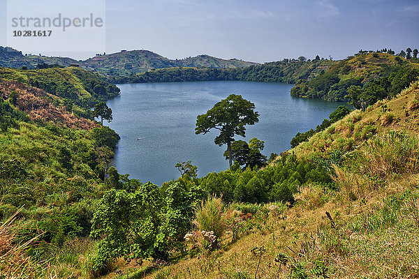 Nkurubasee  Uganda  Afrika