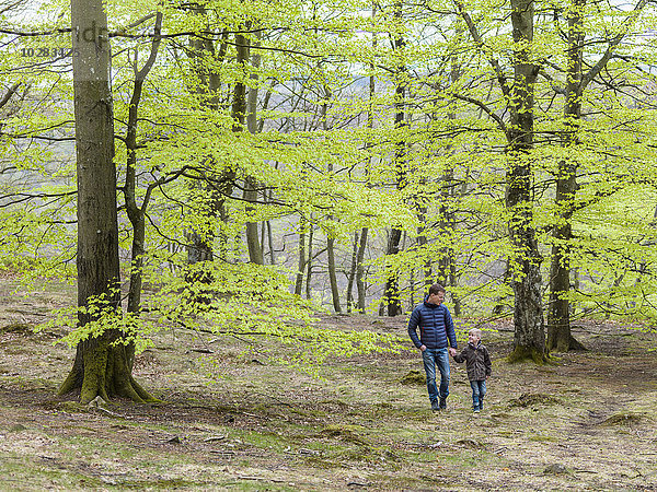 Vater mit Sohn beim Spaziergang im Wald