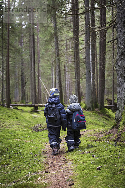 Kinder wandern im Wald